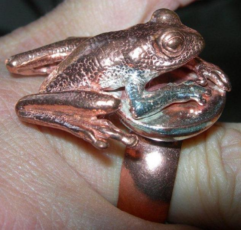 Frog (large) ring in bronze
