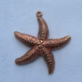 Starfish pendant in bronze