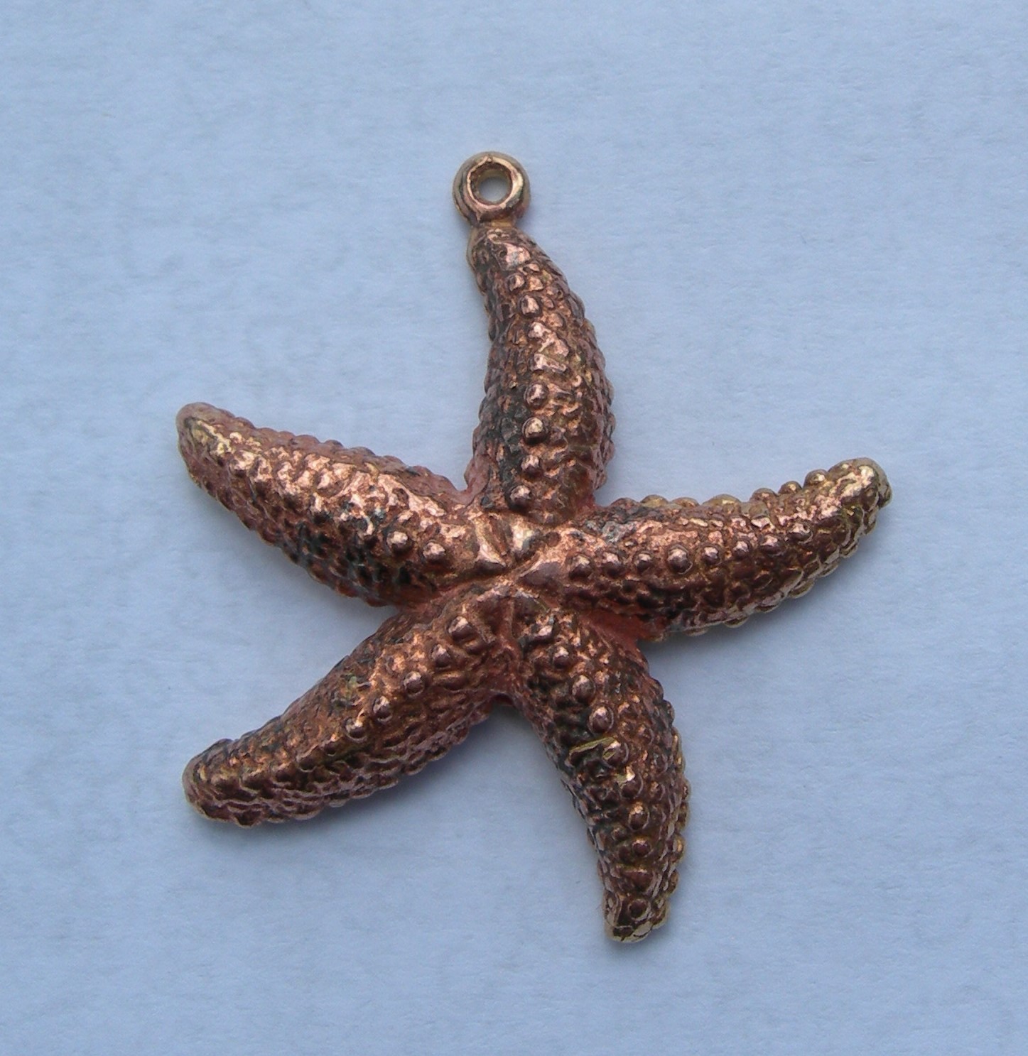 Starfish pendant in bronze